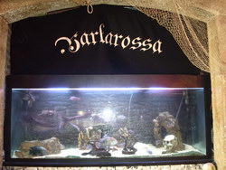 BARBAROSSA > terasa, cafe bar, Baia Mare, MM, m140_13.jpg