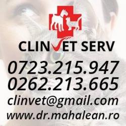 VETERINAR > dr. MAHALEAN Dinu - CABINET veterinar  > CLINVET Serv - CLINICA veterinara, Baia Mare, MM, m176_2.jpg