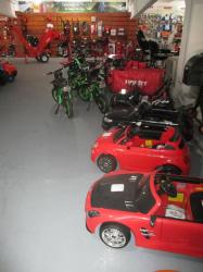 SCULE ELECTRICE, MOTOUTILAJE - 3 Ani Garantie! > NORDEX > importator si service HECHT, Baia Mare, MM, m1460_120.jpg