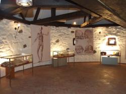 Muzeul Judetean de Istorie si Arheologie : BASTIONUL MACELARILOR, Baia Mare, MM, m5010_23.jpg