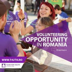 Organizatia INTERCULTURALA tineret TEAM FOR YOUTH > voluntariat si educatie non formala, Baia Mare, MM, m5074_16.jpg