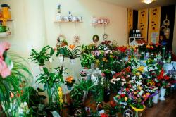 FLORARIA EDEN > livrari flori si aranjamente florale, cadouri, nunti si evenimente speciale, Baia Mare, MM, m5243_7.jpg